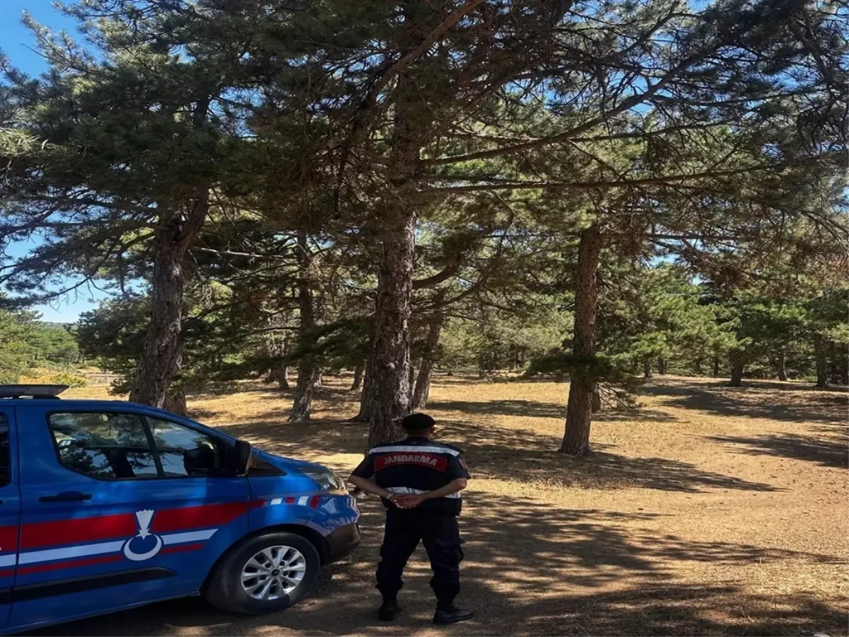 Sakarya'da Orman Yangınlarına Karşı Yeni Yasaklar