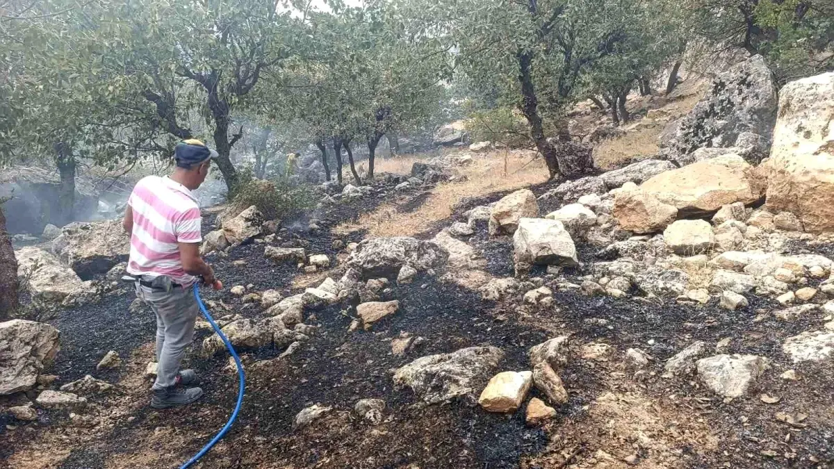 Siirt'te Orman Yangını Kontrol Altına Alındı
