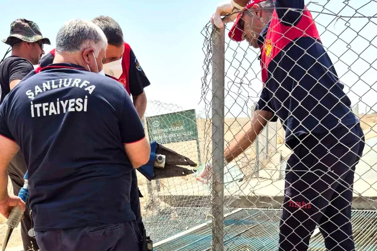 Şanlıurfa'da Kaybolan Genç Adamın Cesedi Bulundu
