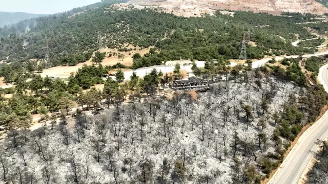 The current state of the district that experienced the largest forest fire in its history: Words cannot describe this pain