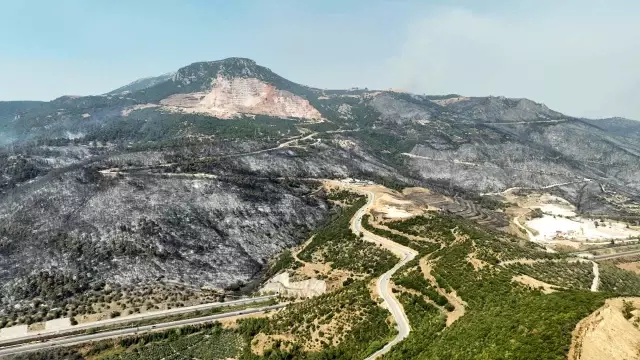 The current state of the district that experienced the largest forest fire in its history: Words cannot describe this pain