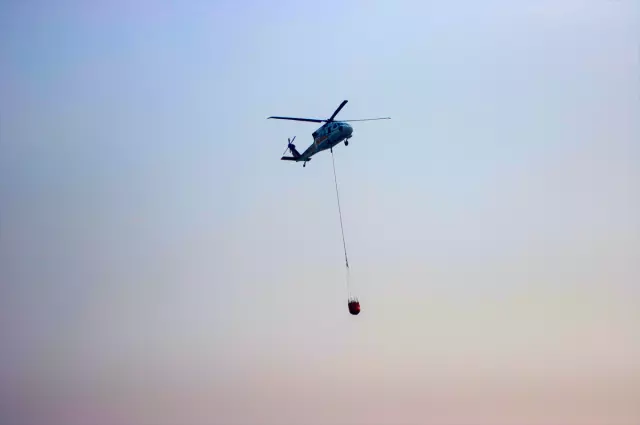 The current state of the district that experienced the largest forest fire in its history: Words cannot describe this pain