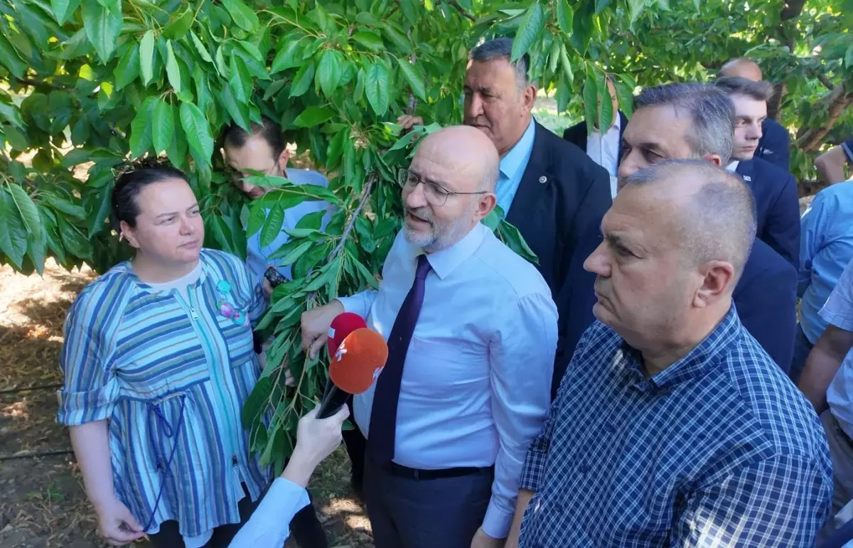 Zirai Don Olayı Araştırma Komisyonu Başkanı: '420 bin çiftçi etkilendi'