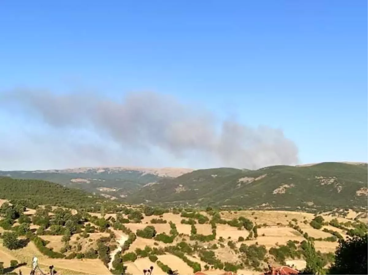 Afyonkarahisar'da Orman Yangını Çıktı