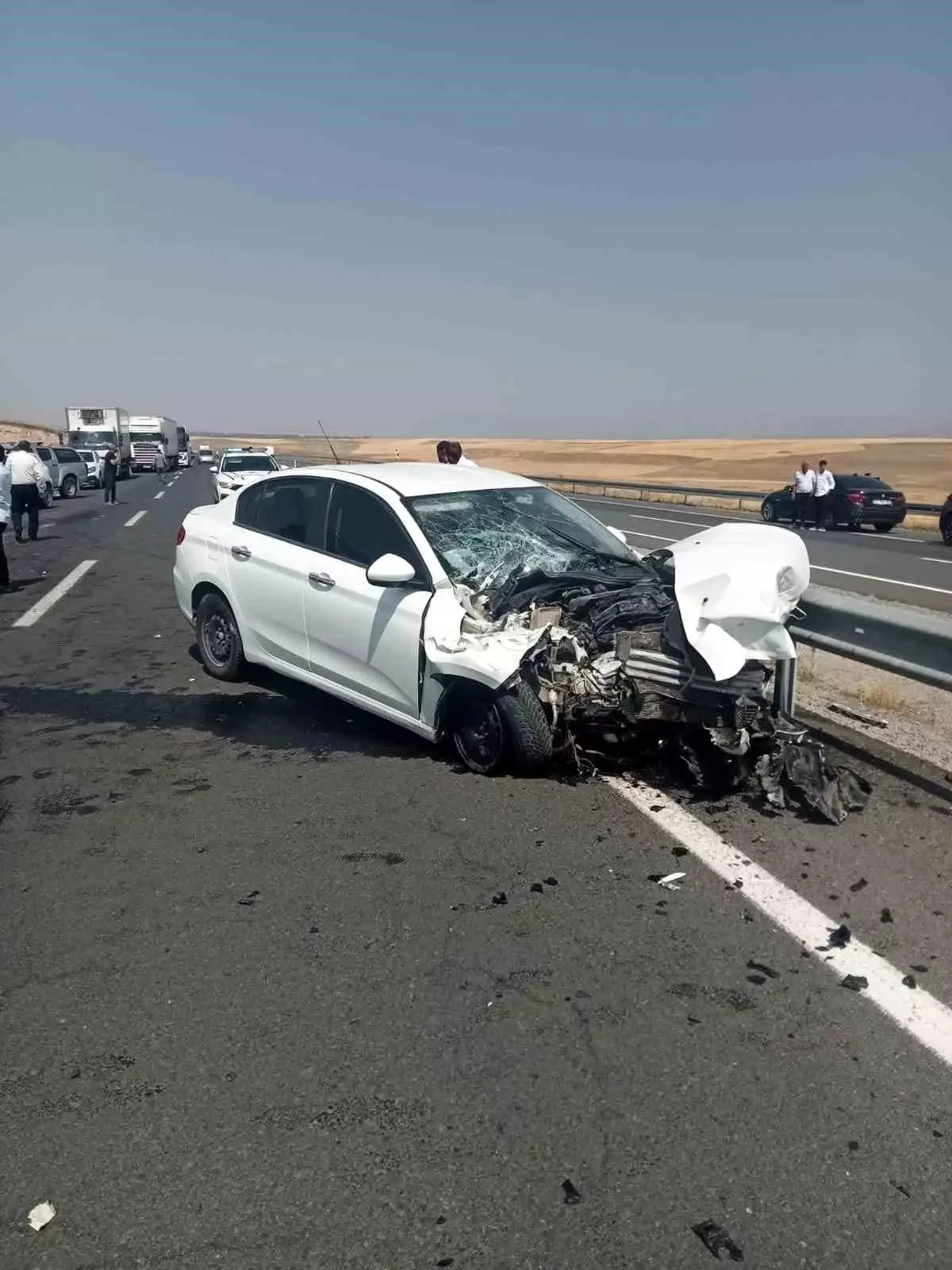 Ağrı'da Otomobilin Traktöre Çarpması Sonucu 2 Yaralı
