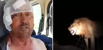 Aslanla boğuşan Antalyalı Süleyman, her gece aynı rüyayı görüyor