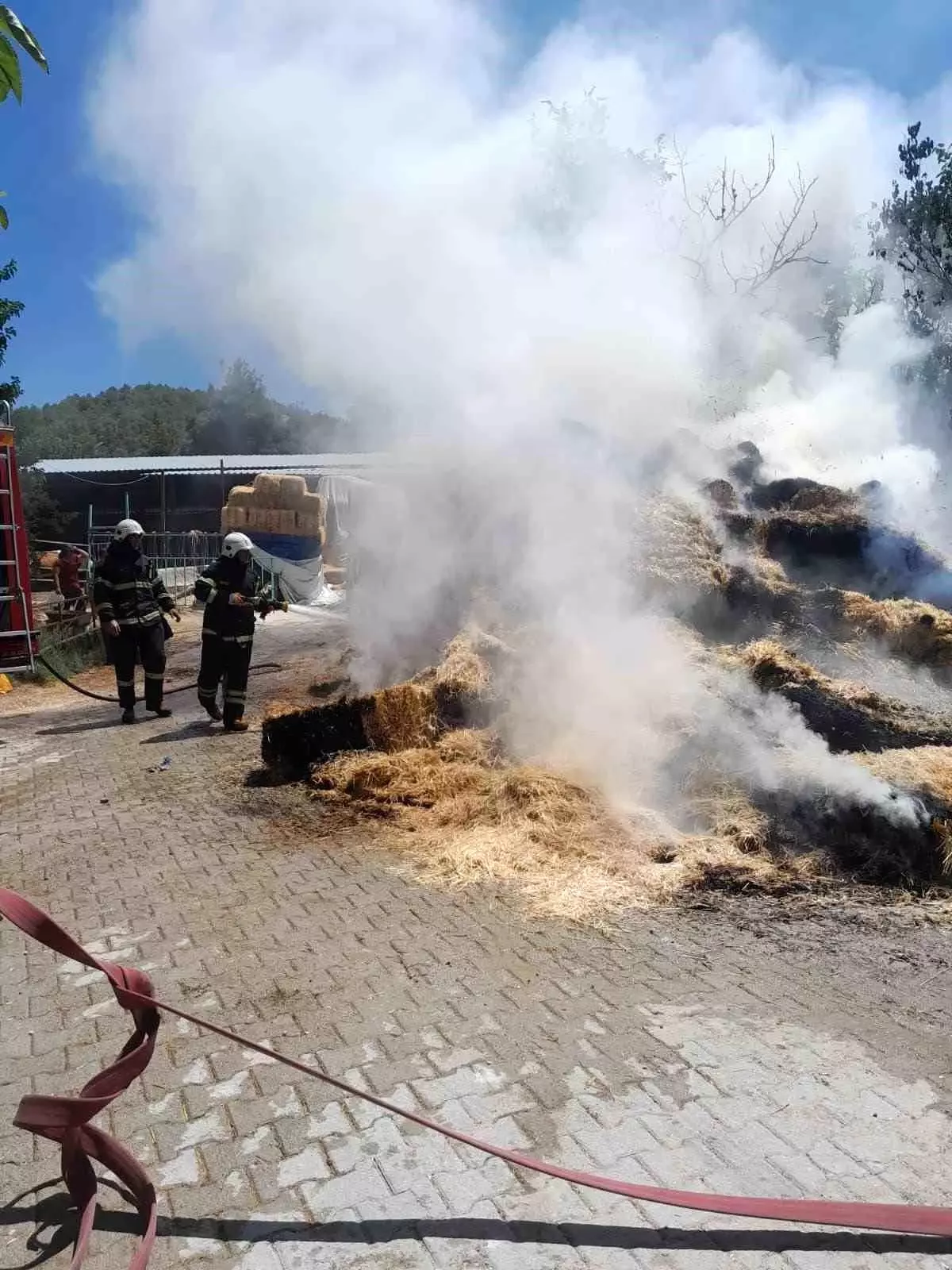 Burdur'da Saman Balyası Yangını: 250 Adet Küle Döndü
