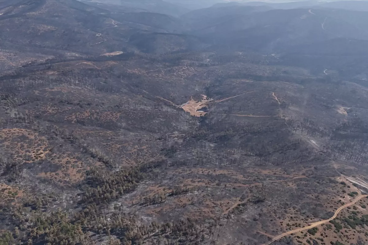 Bursa'daki orman yangınları 5. günde kontrol altına alındı