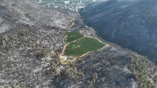 The flames that turned Bursa to ashes could not reach there! The reason will be a lesson for everyone