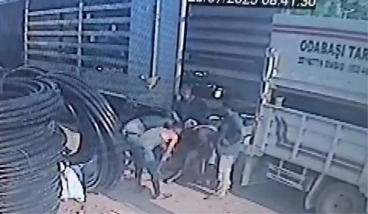 Mersin'de Tır ve Kamyonet Arasında Sıkışan Genç Hayatını Kaybetti