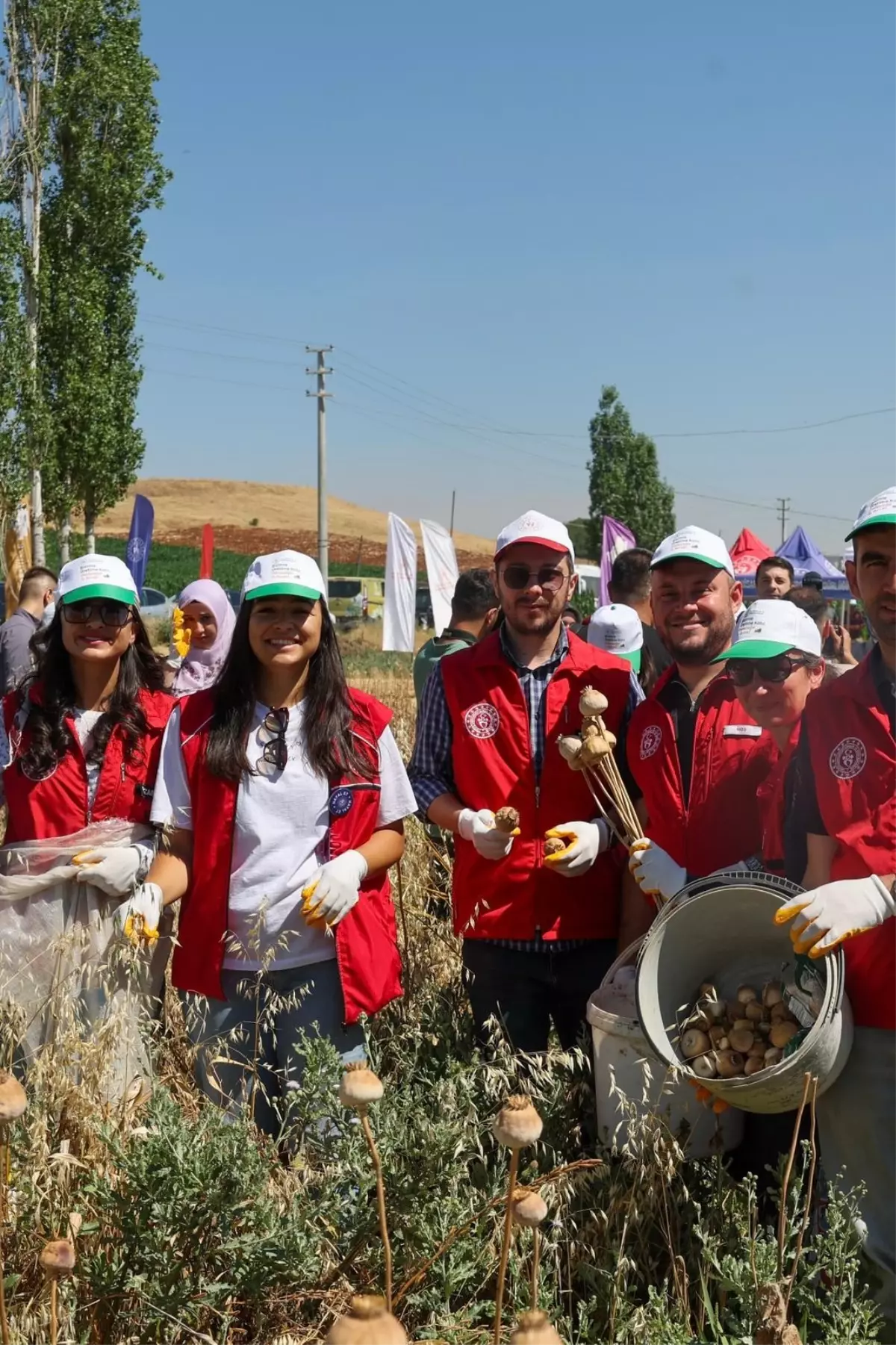 Genç Çiftçi Programı Kapsamında Gönüllü Hasat Etkinliği Başladı