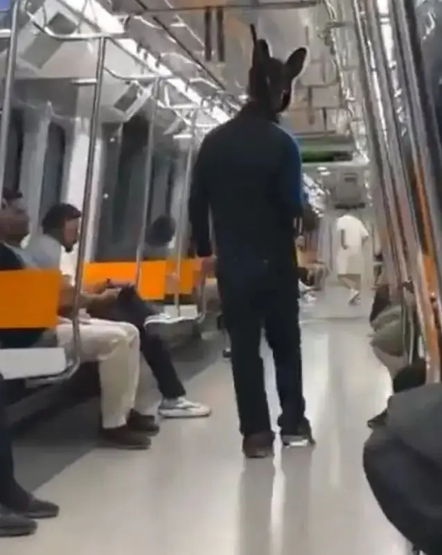 Panic moments in Istanbul metro! Young man in rabbit costume with a rifle detained