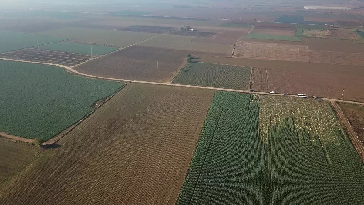 İzmir'de Tarımsal Sulama Tehdidi: Kuraklık ve Su Kaynaklarının Azalması