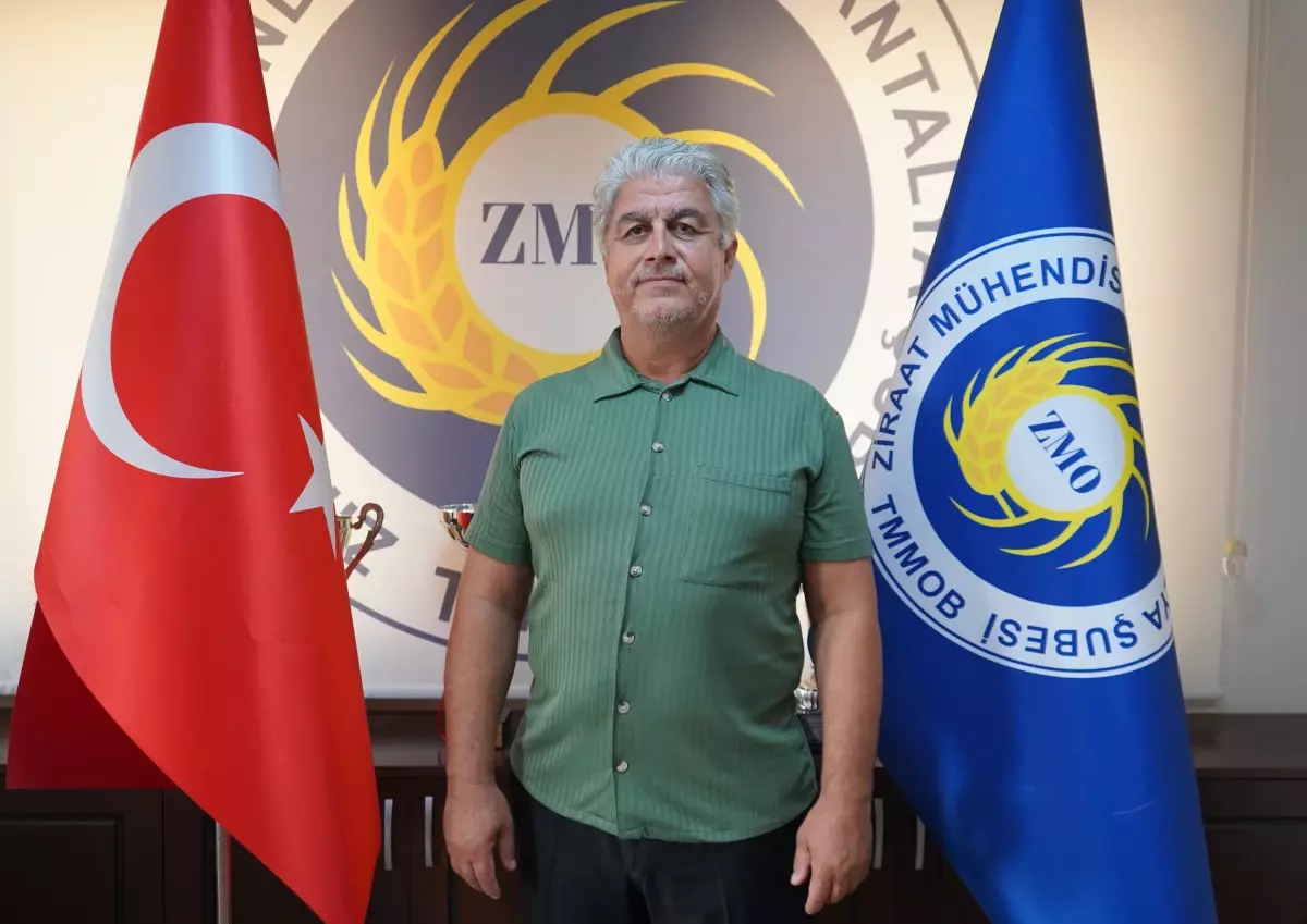 Antalya'da Karpuz Üreticileri Don ve Dolu Sebebiyle Krizle Karşı Karşıya