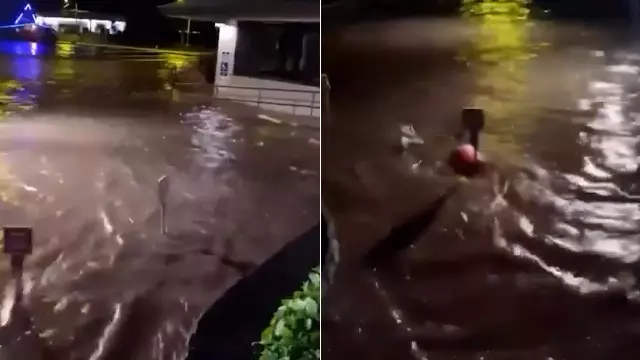 Tsunami waves reached Hawaii after the mega earthquake! Here are the first images