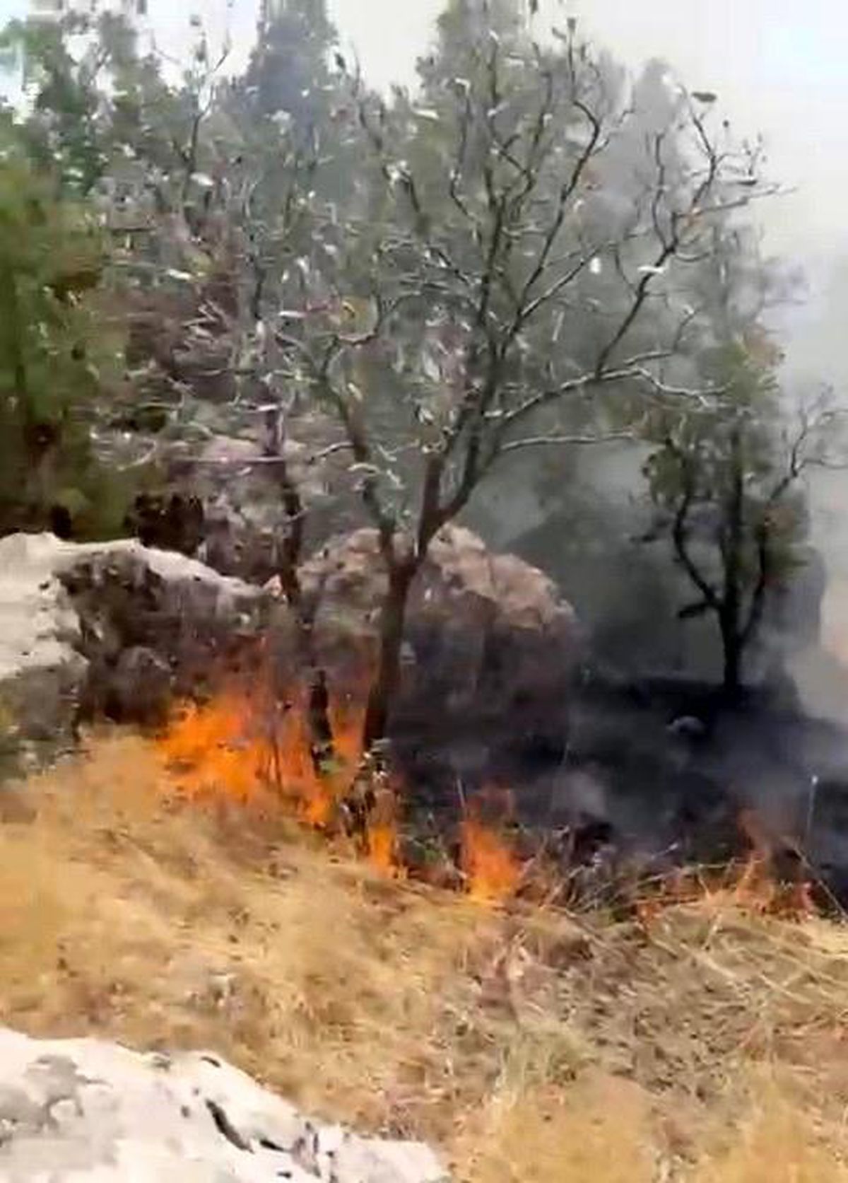 Adıyaman'da Orman Yangını Kontrol Altına Alındı