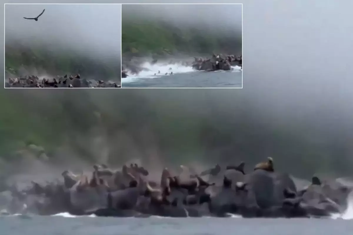 Rusya&apos;daki 8.8&apos;lik deprem sonrası korku filmlerini andıran görüntü