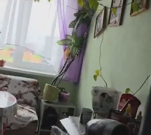The 8.8 magnitude earthquake shaking Russia captured on camera