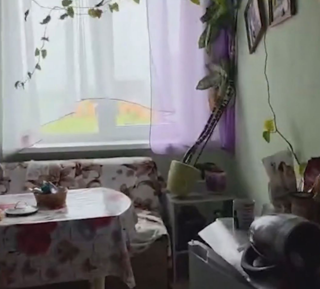 The 8.8 magnitude earthquake shaking Russia captured on camera