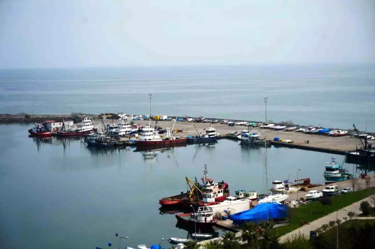 Samsun'da 2025'te 65 Bin Ton Balık Üretimi Planlanıyor