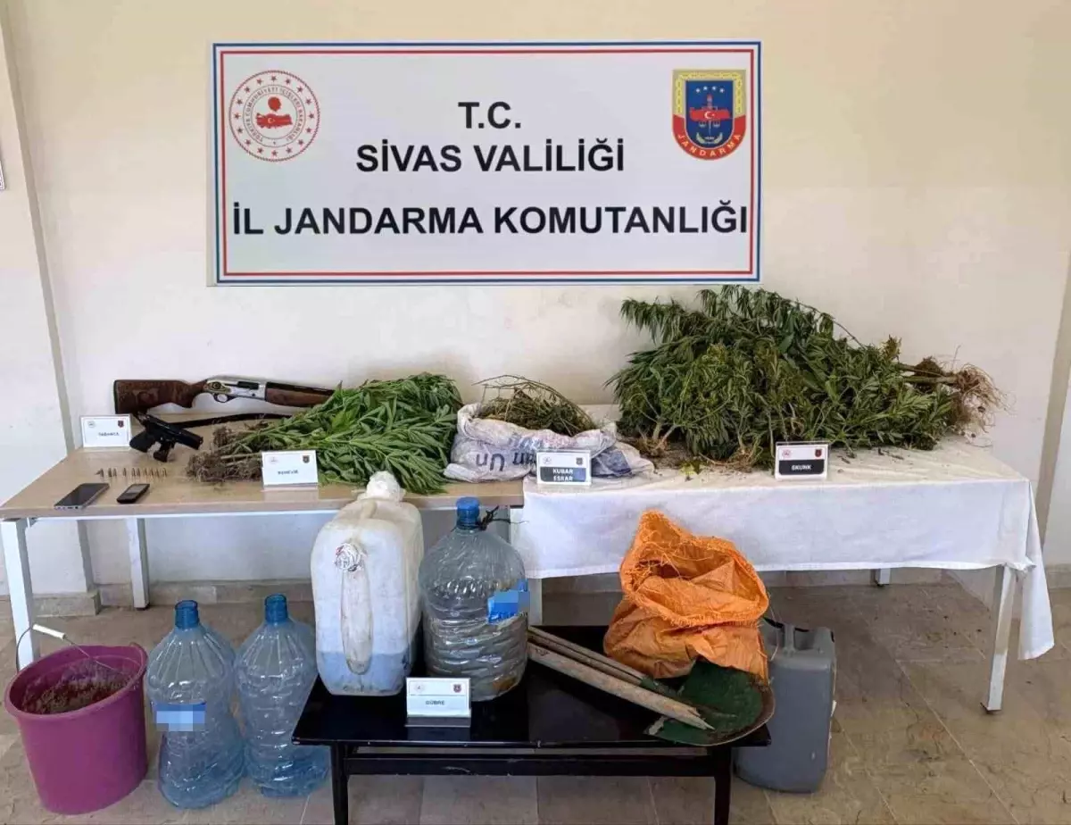 Sivas'ta Uyuşturucu Operasyonu: 500 Gram Esrar ve Kenevir Bitkileri Ele Geçirildi