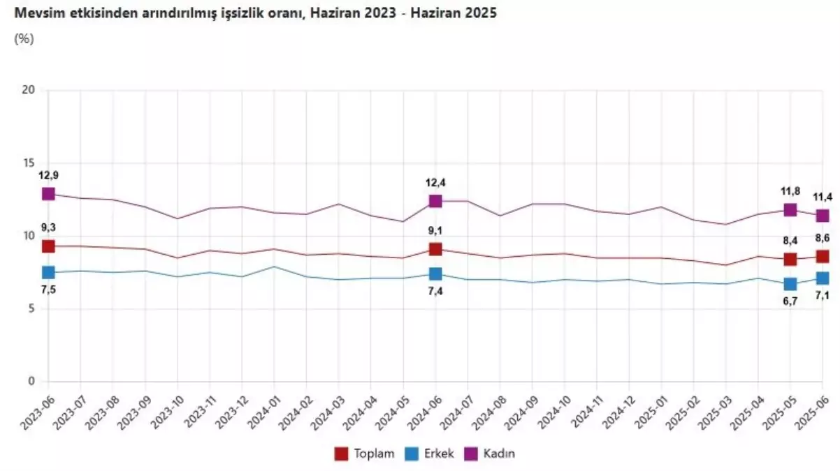 Türkiye'de İşsizlik Oranı Haziran'da Yüzde 8,6'ya Yükseldi