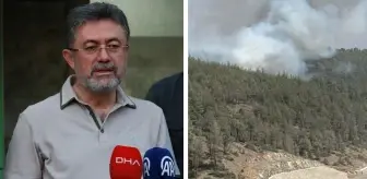 Yeniden başlayan yangına jet müdahale! Kontrol altına alındı