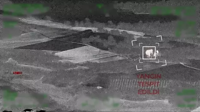 Three Suspects Who Started Forest Fire in Adana Were Caught