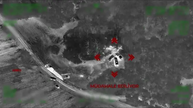 Three Suspects Who Started Forest Fire in Adana Were Caught