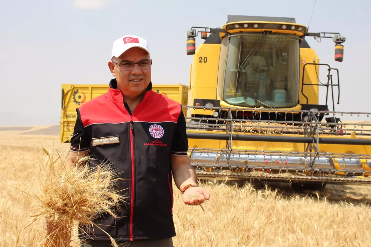 Ağrı'da Hasat Töreni: 280 Bin Ton Buğday, 160 Bin Ton Arpa Bekleniyor