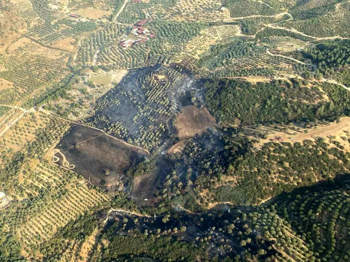 Aydın'da Zirai Alanda Yangın Kontrol Altına Alındı