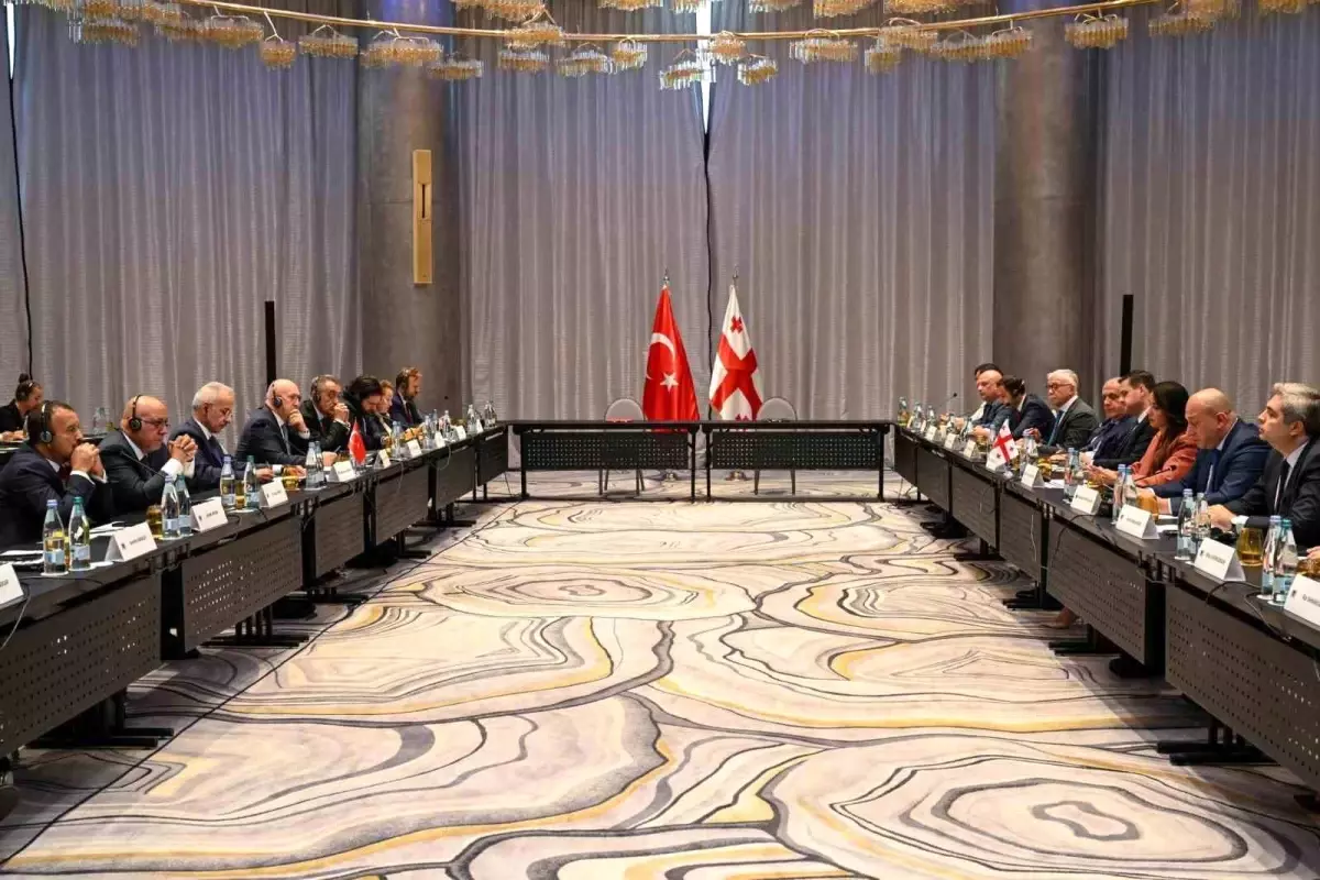 Türkiye ve Gürcistan Arasında Ulaşım ve Ekonomi İlişkileri Gelişiyor