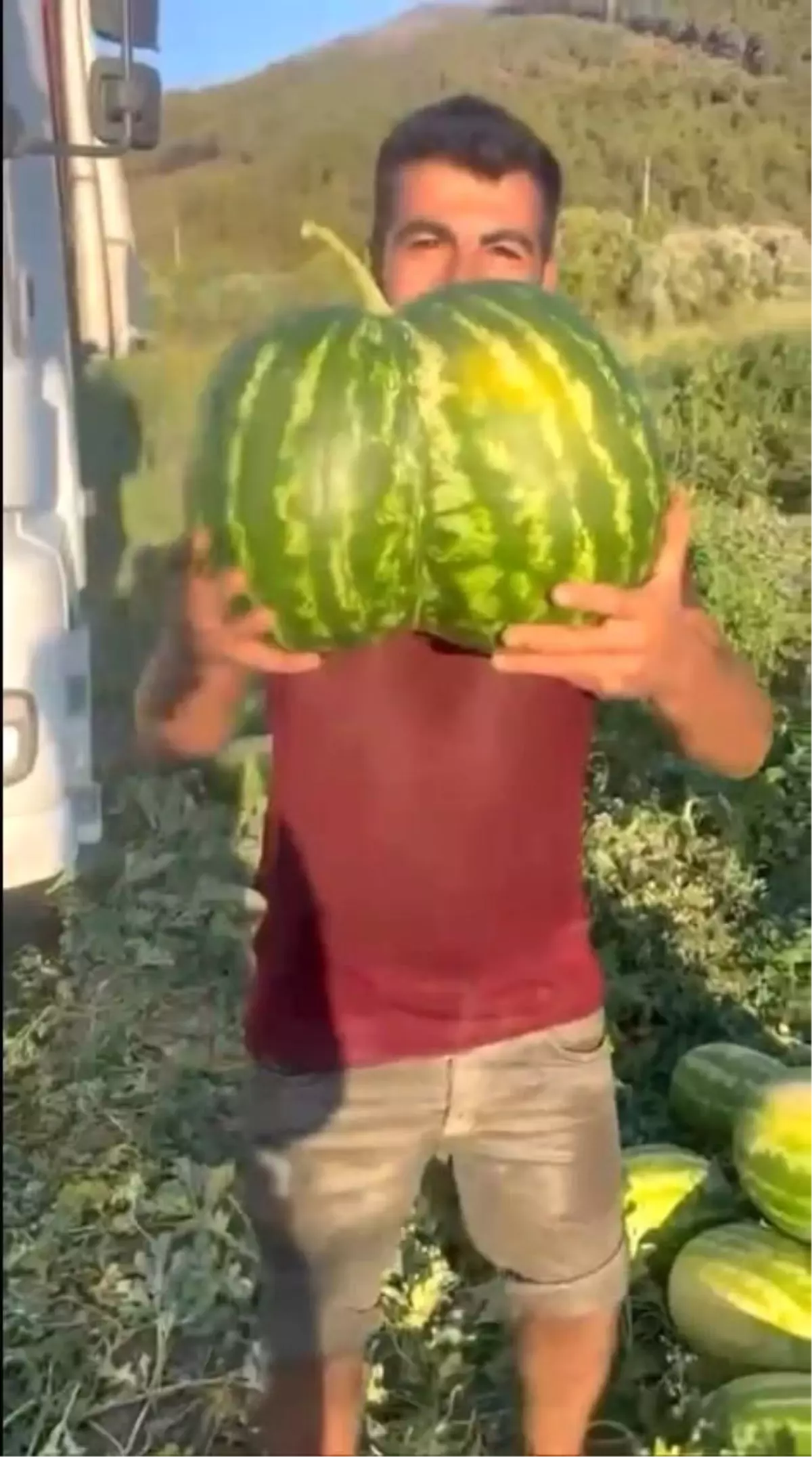 Bilecik'te İkiz Kavun ve Karpuz Görücüye Çıktı