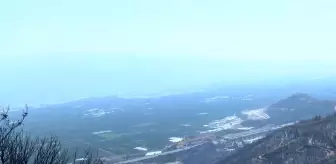 Bursa’da orman yangınlarının ardından 'hava kirliliği' alarmı: Şikayetler yüzde 30 arttı
