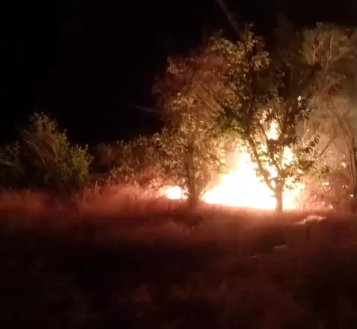 Malatya'da Ot Yangını Kontrol Altına Alındı