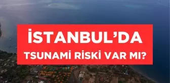 İstanbul'da tsunami riski taşıyan ilçeler hangileri? İstanbul tsunami risk haritası!