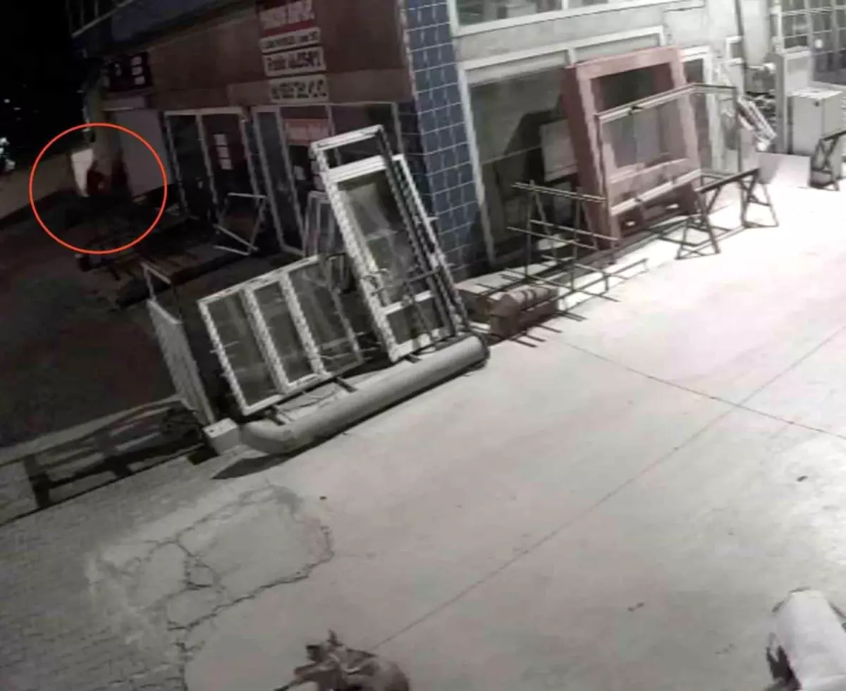 Kastamonu'da Köpeğe Aracıyla Çarpıp Tüfekle Vurdular