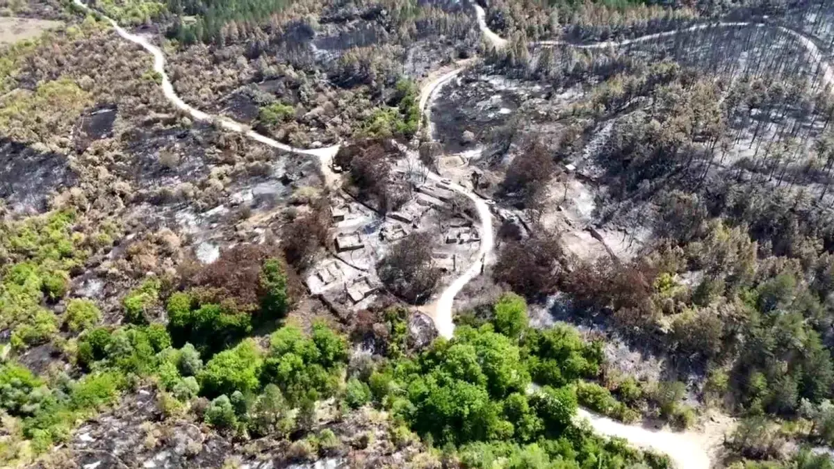 Karabük'teki Orman Yangını 24 Evi Yok Etti