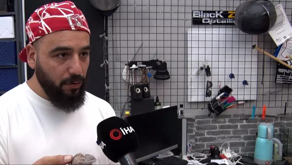 Emre Kaan Keleşoğlu'nun Renkli Bukalemun Hikayesi