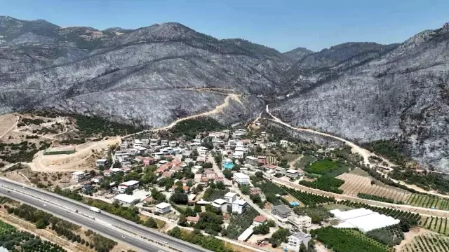 The heart-wrenching before and after of Green Bursa