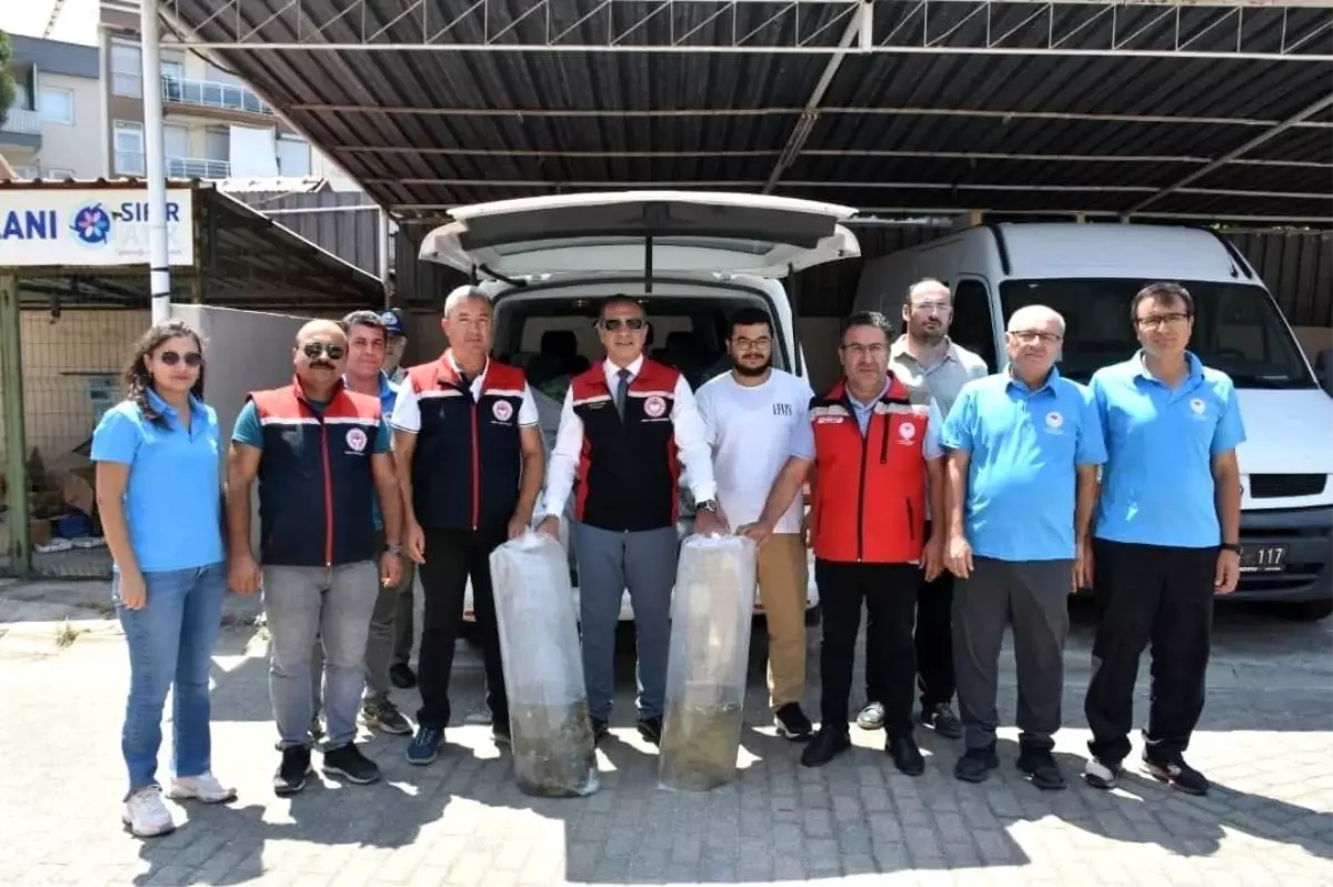 Aydın'da Sazan Yavruları Su Kaynaklarıyla Buluşturuldu