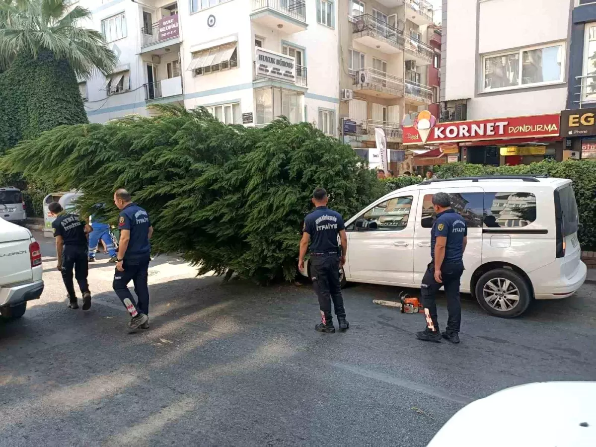 Aydın'da Kuruyan Ağaç Park Halindeki Aracın Üzerine Devrildi