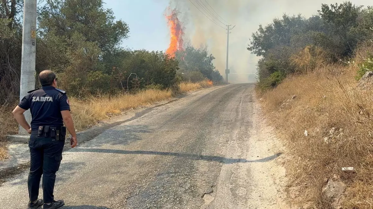 Bodrum'da Maki Yangını: Havadan ve Karadan Mücadele Devam Ediyor