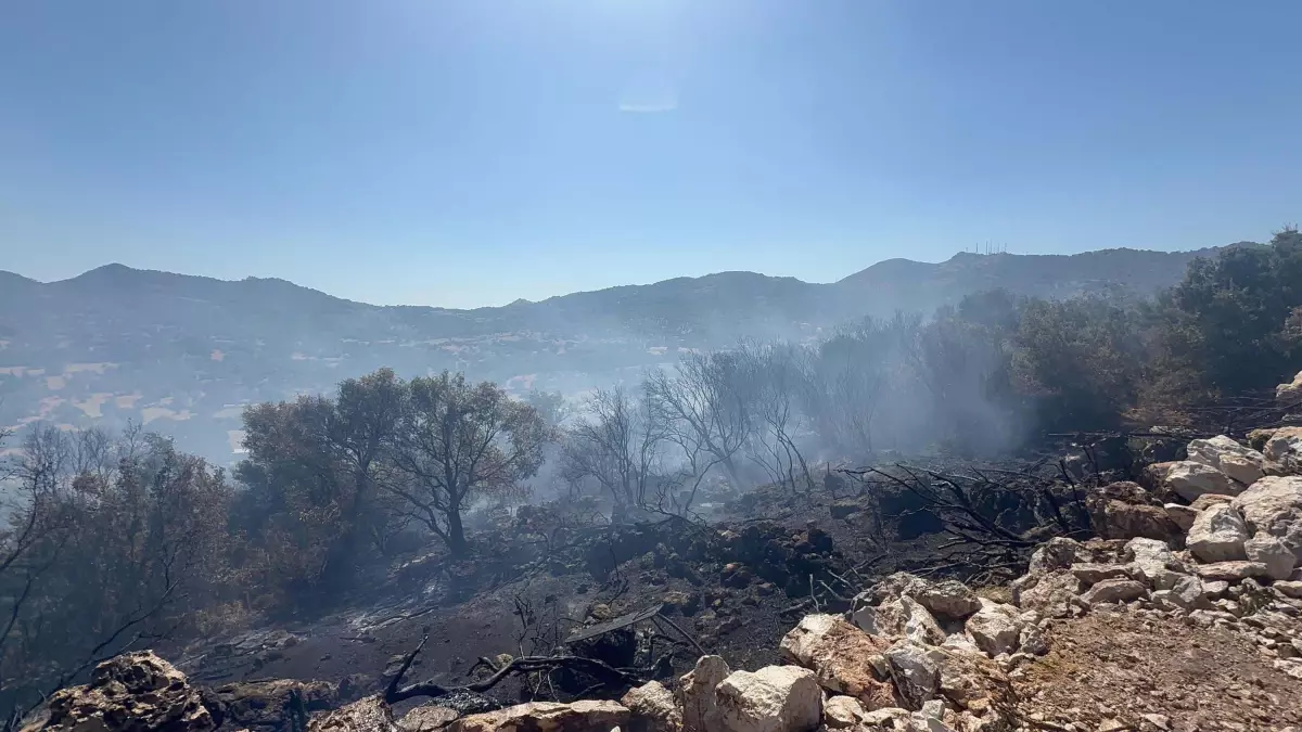 Bodrum'da Yangın 1,5 Saatte Kontrol Altına Alındı