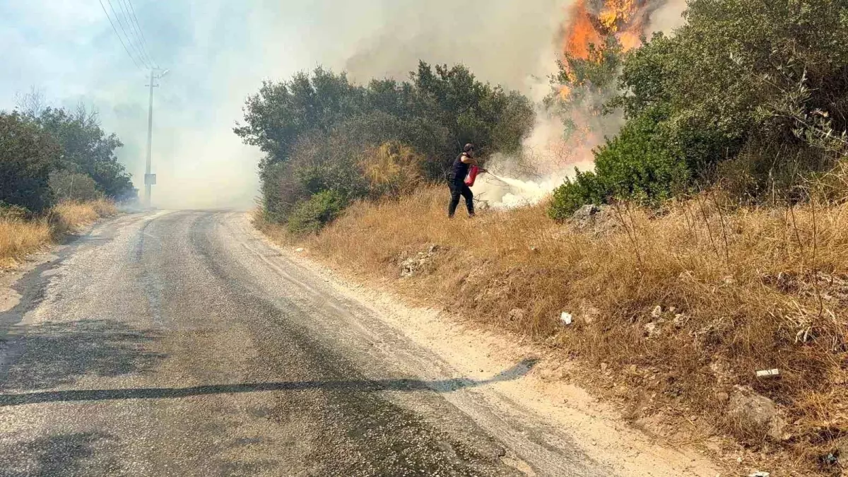 Bodrum'da Yangın Müdahalesi Sürüyor