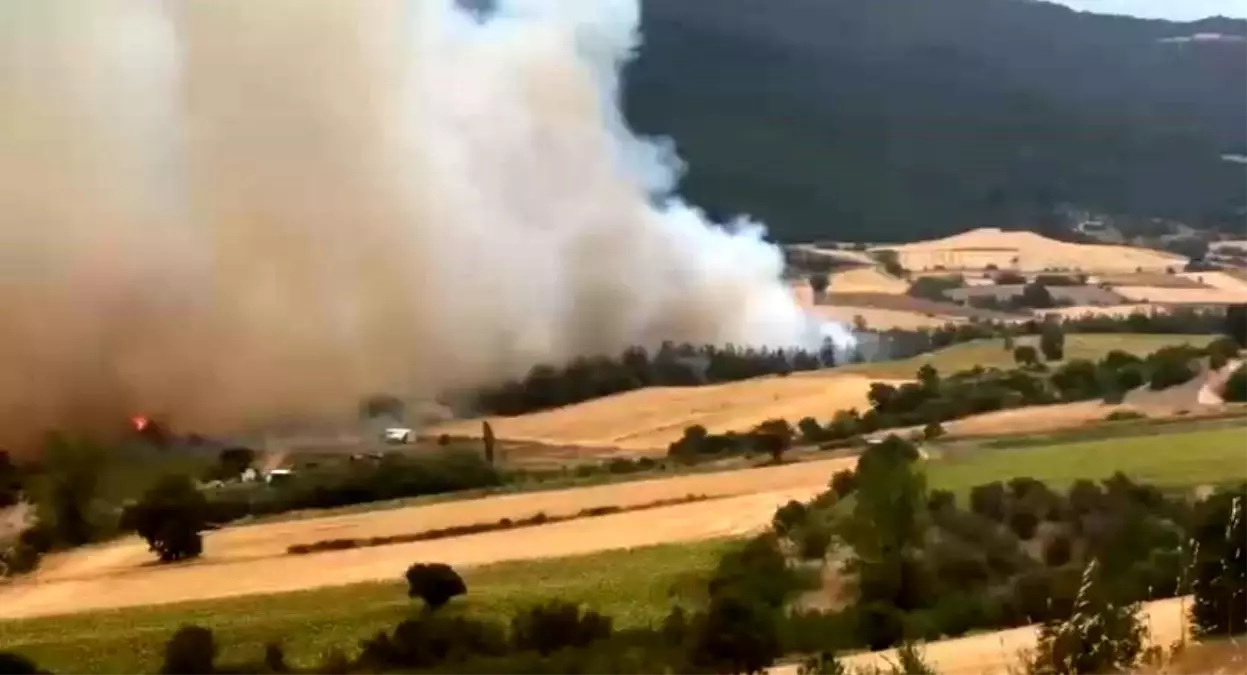 Bursa'da Orman Yangınına Havan ve Karadan Müdahale