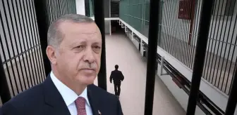 Cumhurbaşkanı Erdoğan, 9 hükümlünün cezasını kaldırdı