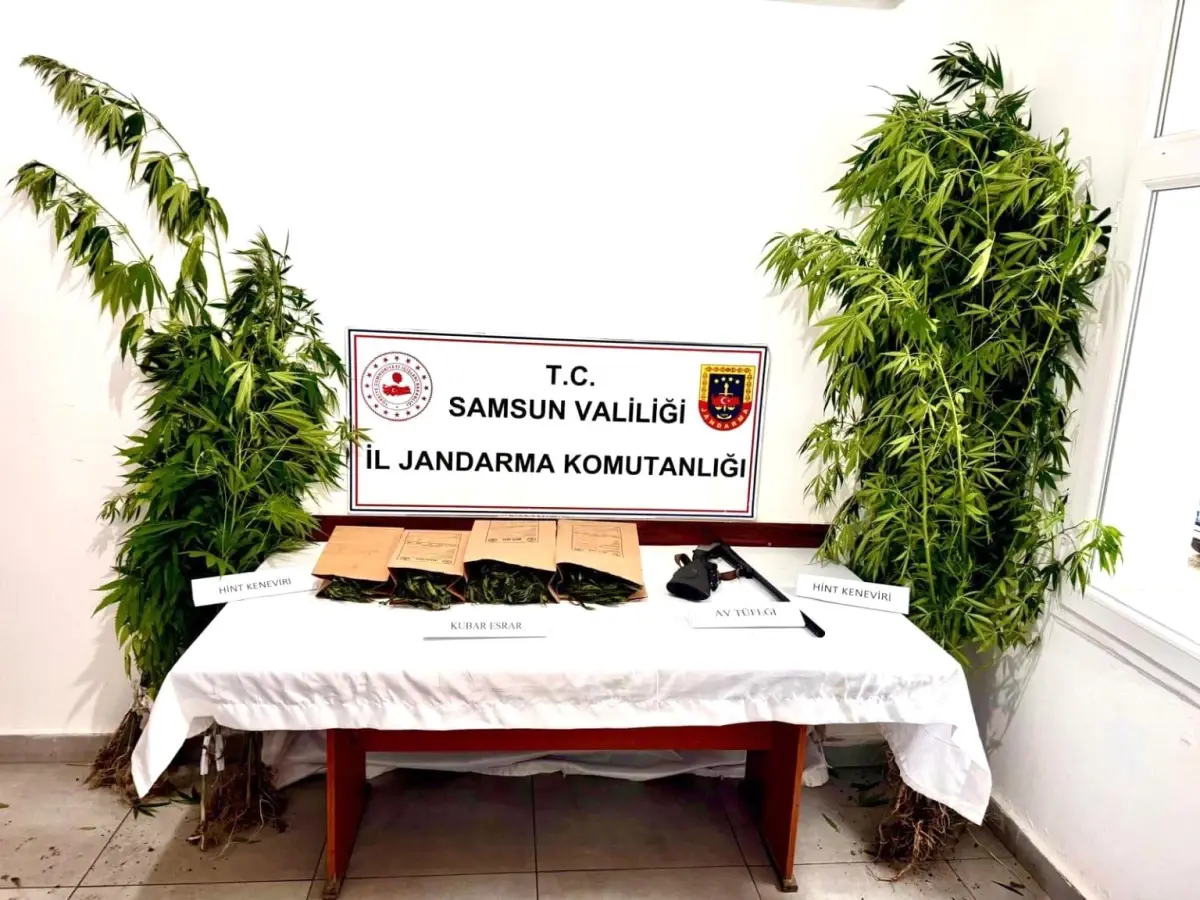 Samsun'da Jandarma Uyuşturucu Operasyonu: 1 Kilo Esrar ve Tüfek Ele Geçirildi