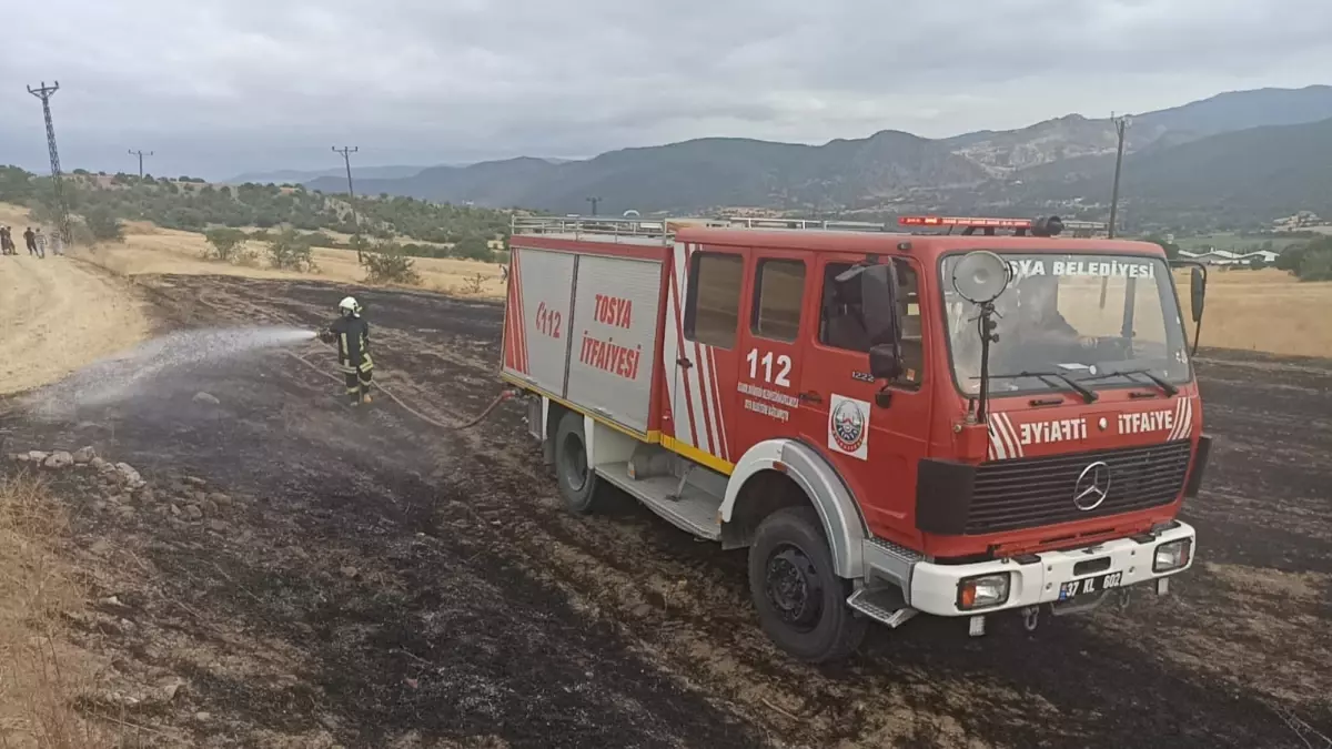Kastamonu'da Elektrik Telinden Kaynaklı Anız Yangını