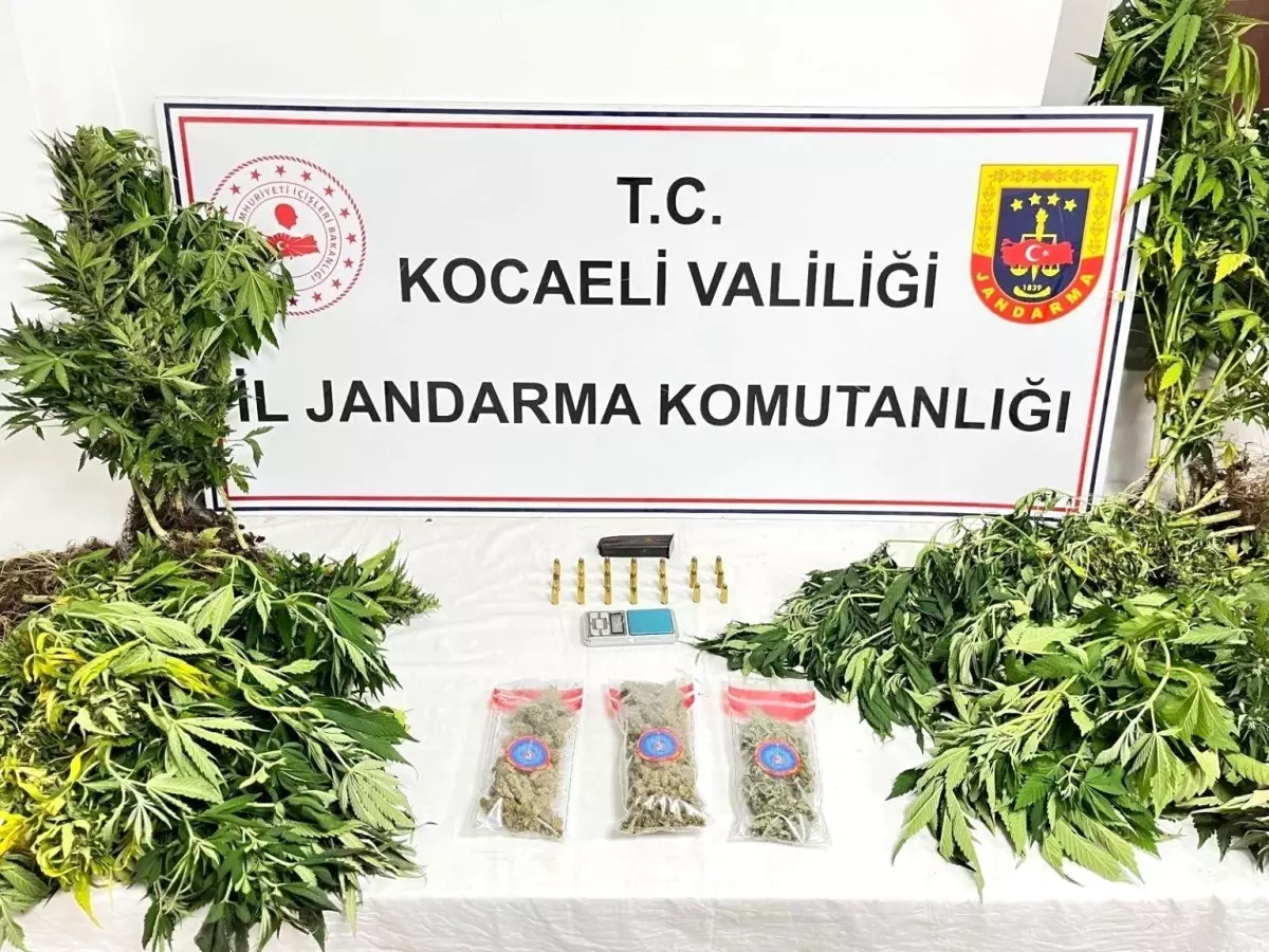 Kocaeli'de Uyuşturucu Operasyonu: Çok Sayıda Ele Geçirildi